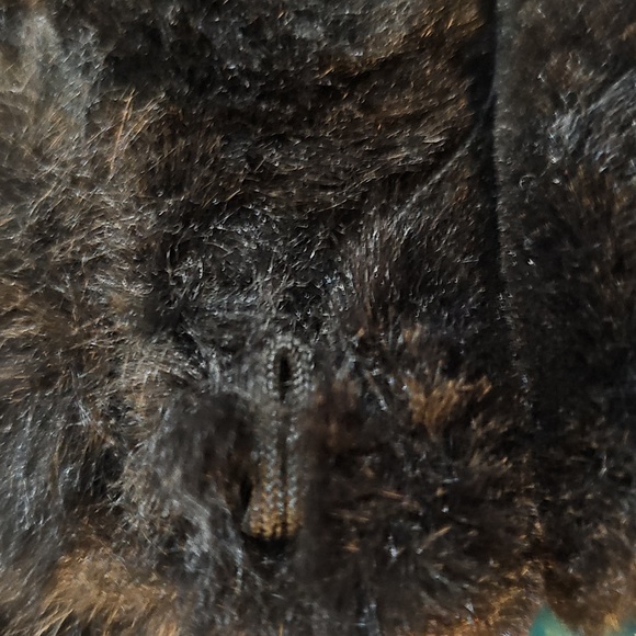 Jacket - Picture 10 of 16